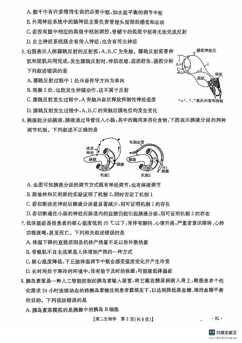 河北省保定市清苑区2024-205学年高二上学期期中考试生物试题第2页