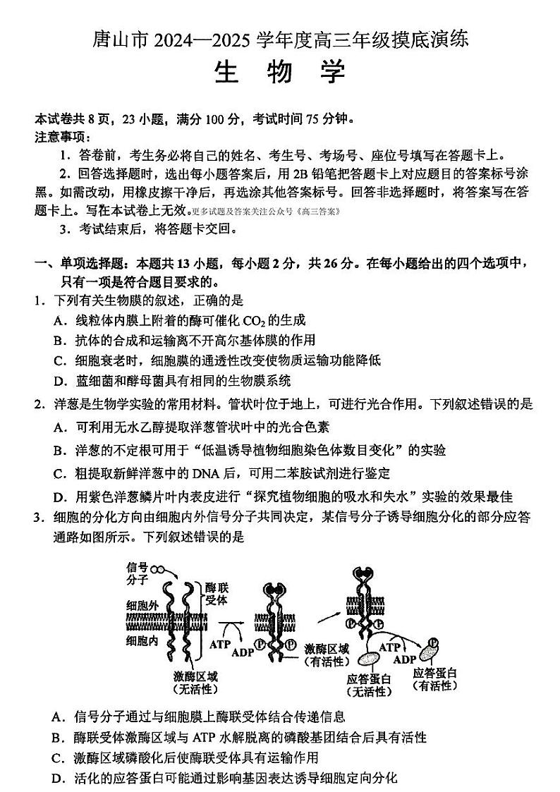 唐山市2024－2025学年度高三年级上学期10月摸底演练生物试题及答案第1页