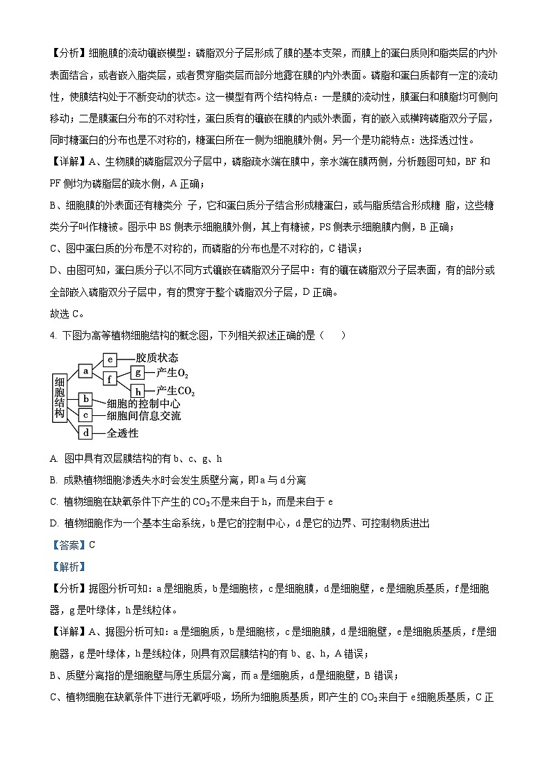 湖南省沅澧共同体2024-2025学年高三上学期第二次联考生物试题含解析第3页