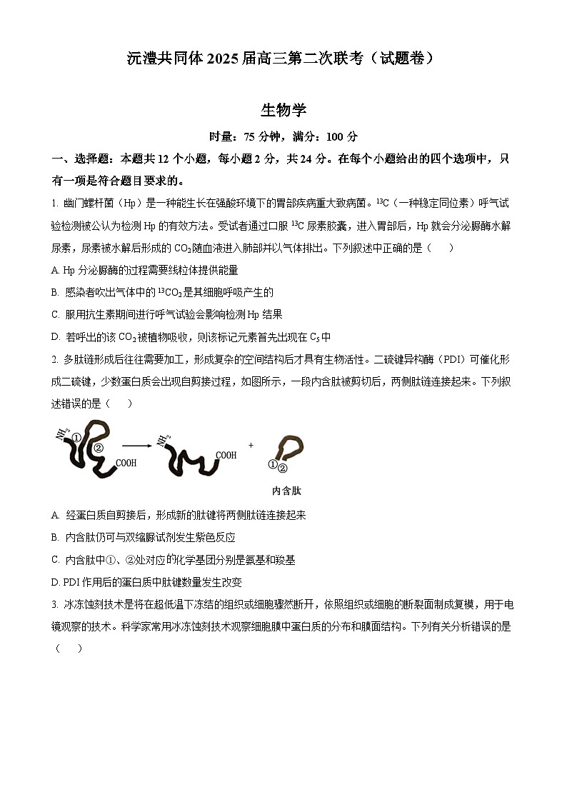 湖南省沅澧共同体2024-2025学年高三上学期第二次联考生物试题无答案第1页