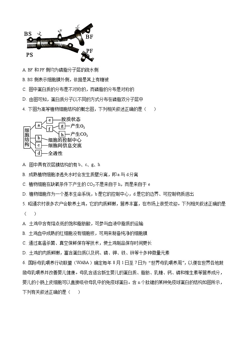 湖南省沅澧共同体2024-2025学年高三上学期第二次联考生物试题无答案第2页