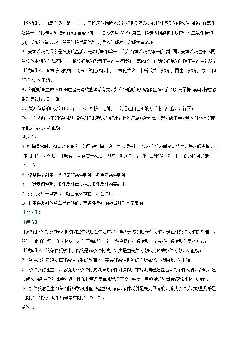 湖南省衡阳市衡阳县第一中学2024-2025学年高二上学期11月期中考试生物试题含解析第3页