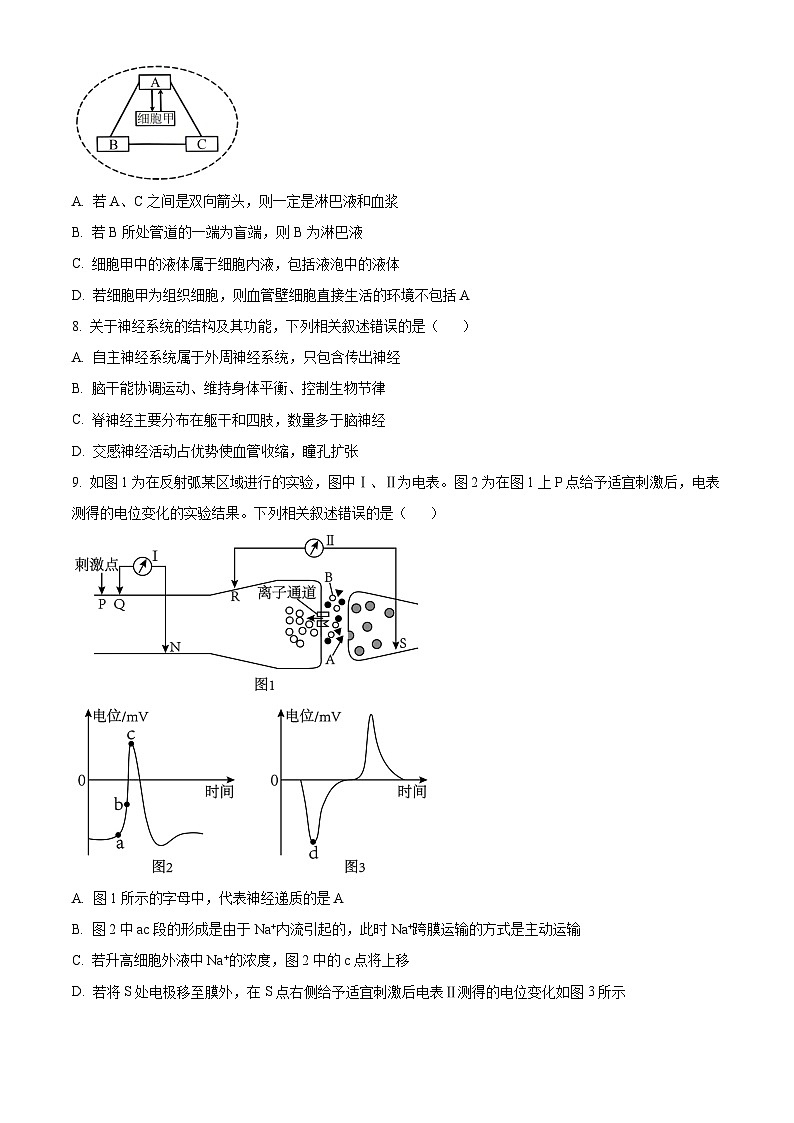 湖北省宜昌市协作体2024-2025学年高二上学期期中考试生物试题无答案第3页