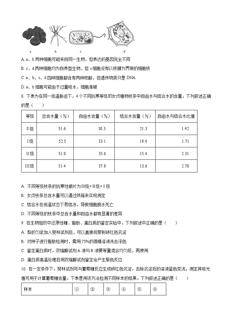 2025岳阳岳阳县一中高一上学期10月月考生物试题含解析02
