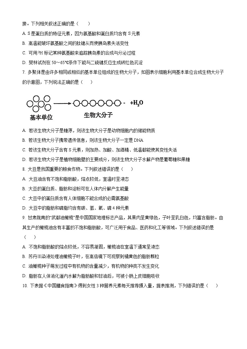 2025衡阳衡阳县一中高一上学期11月期中考试生物试题含解析02
