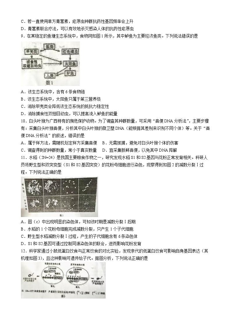 2024年高考真题——生物（广西卷）试卷（Word版附答案）第2页