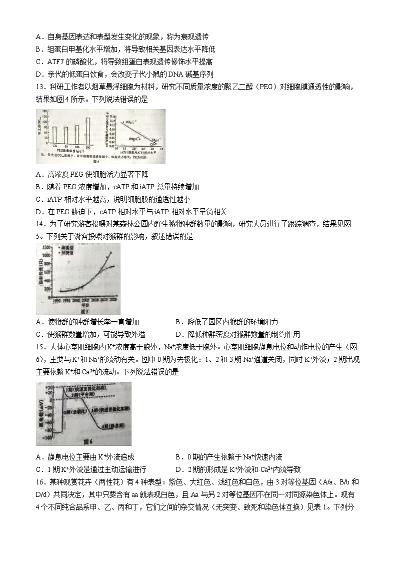 2024年高考真题——生物（广西卷）试卷（Word版附答案）第3页