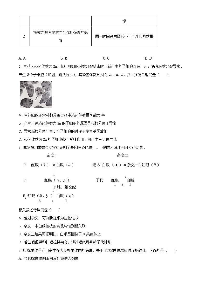 北京市朝阳区2024-2025学年高三上学期期中考试生物试卷（Word版附解析）03