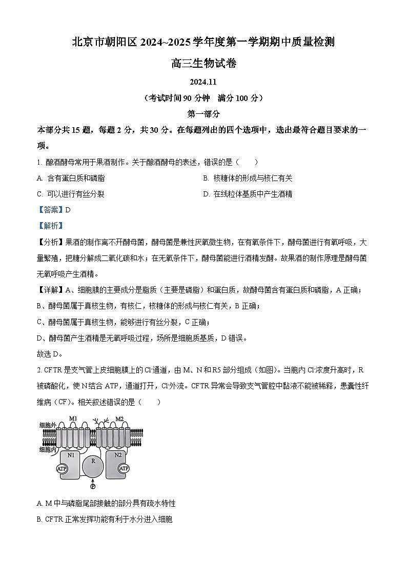 北京市朝阳区2024-2025学年高三上学期期中考试生物试卷（Word版附解析）01
