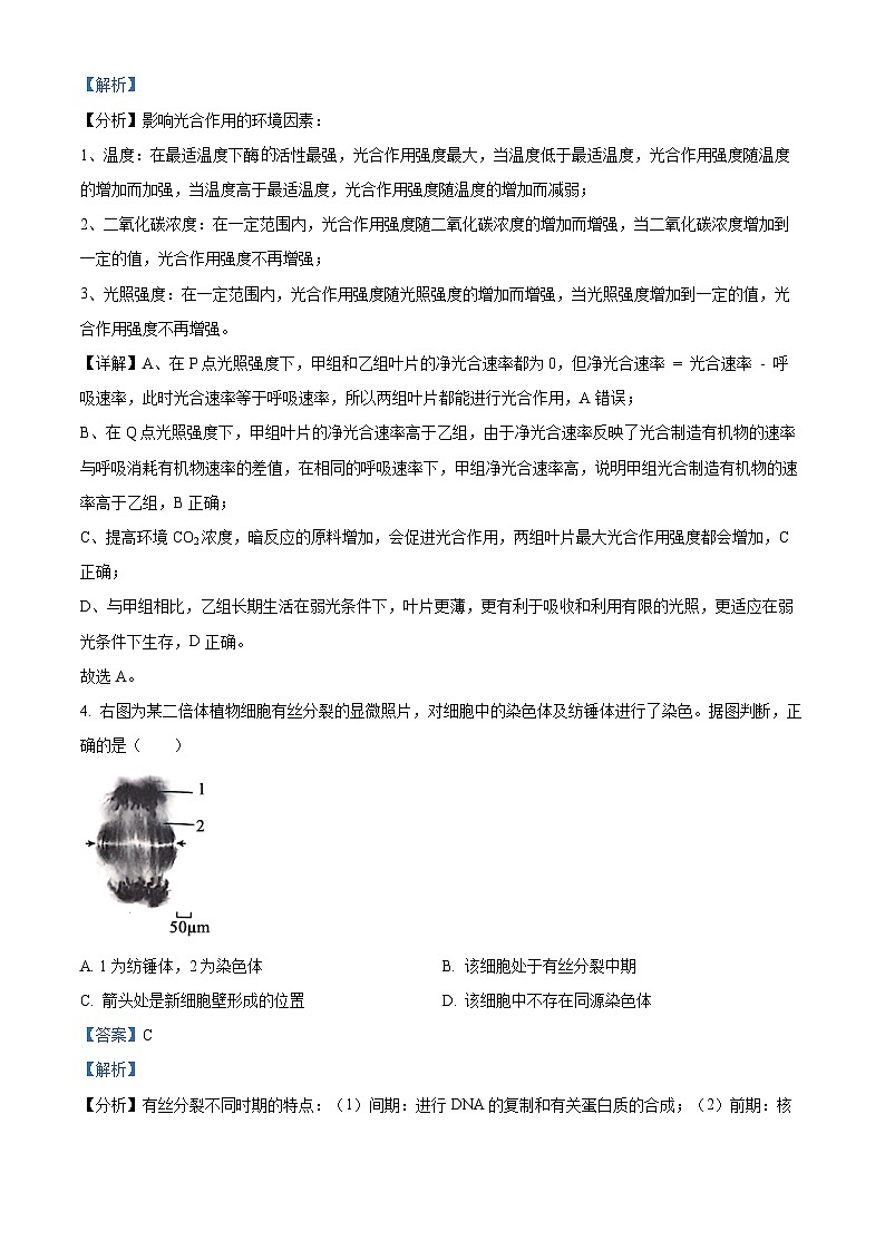 北京市朝阳区2024-2025学年高三上学期期中考试生物试卷（Word版附解析）03