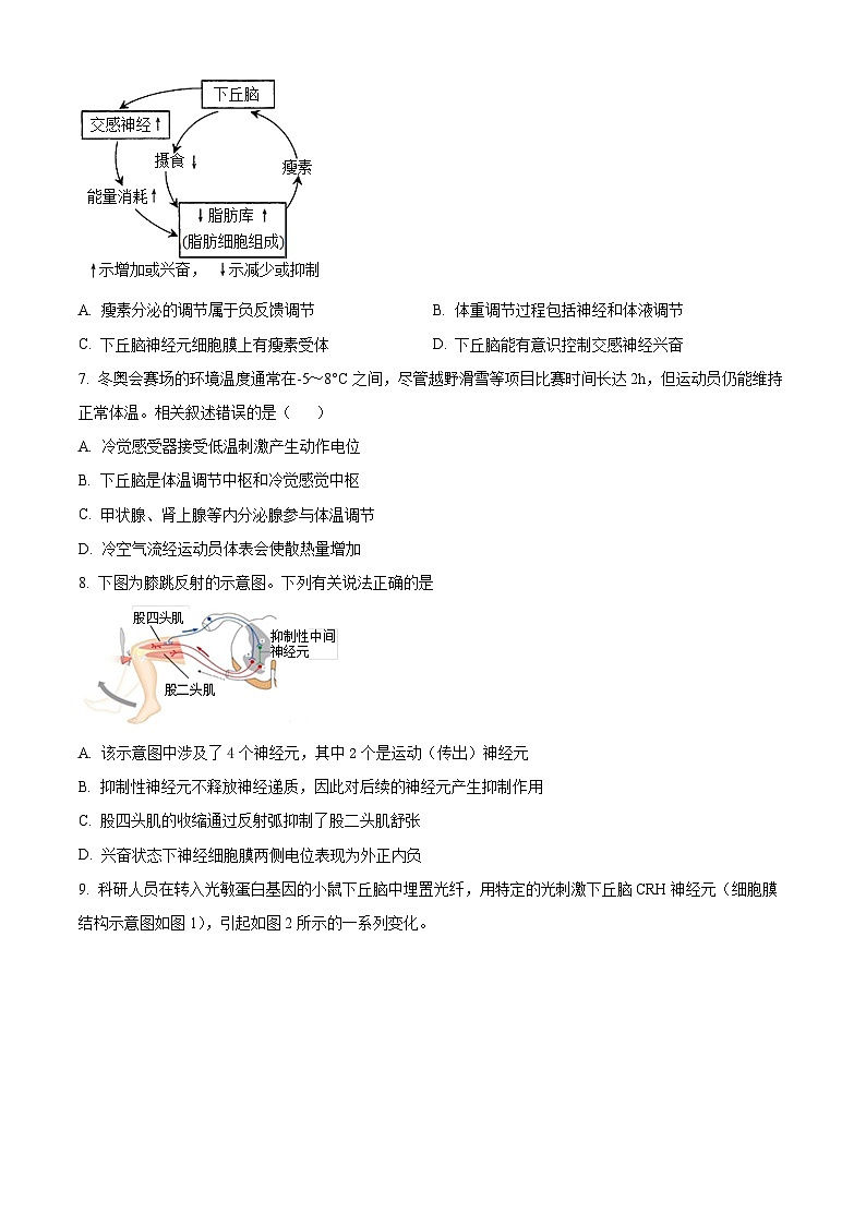 北京市第四十四中学2024-2025学年高二上学期11月期中考试生物试卷（Word版附解析）03