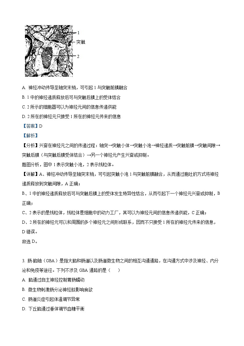 北京市第四十四中学2024-2025学年高二上学期11月期中考试生物试卷（Word版附解析）02