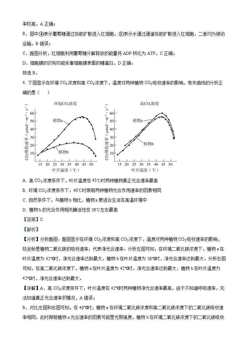 北京市第五十五中学2024-2025学年高三上学期期中调研生物试题 Word版含解析第3页