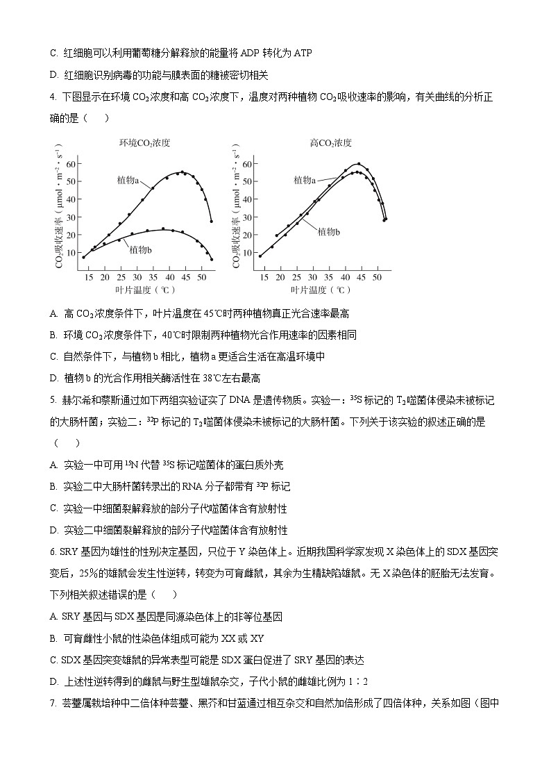 北京市第五十五中学2024-2025学年高三上学期期中调研生物试题 Word版无答案第2页