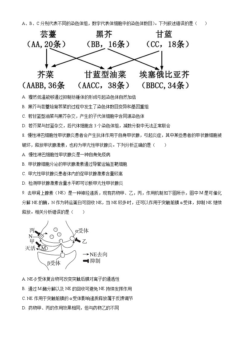 北京市第五十五中学2024-2025学年高三上学期期中调研生物试题 Word版无答案第3页