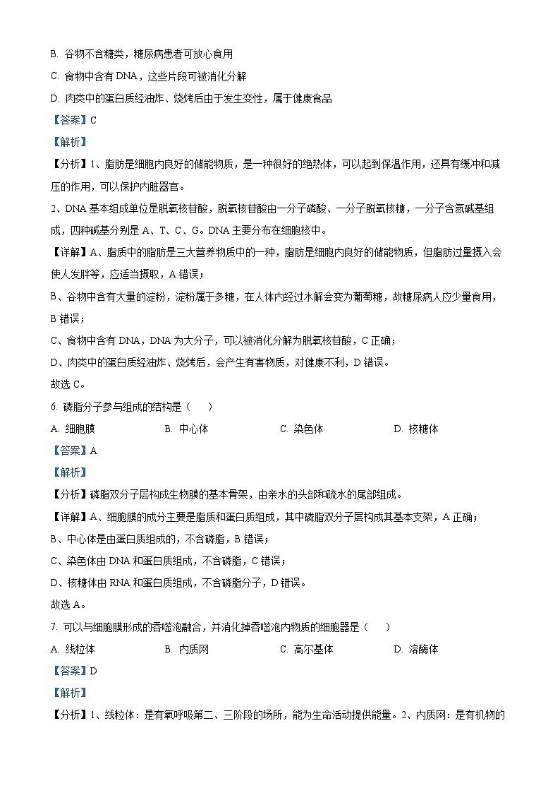 北京市丰台区2024-2025学年高一上学期期中考试生物试卷（Word版附解析）03