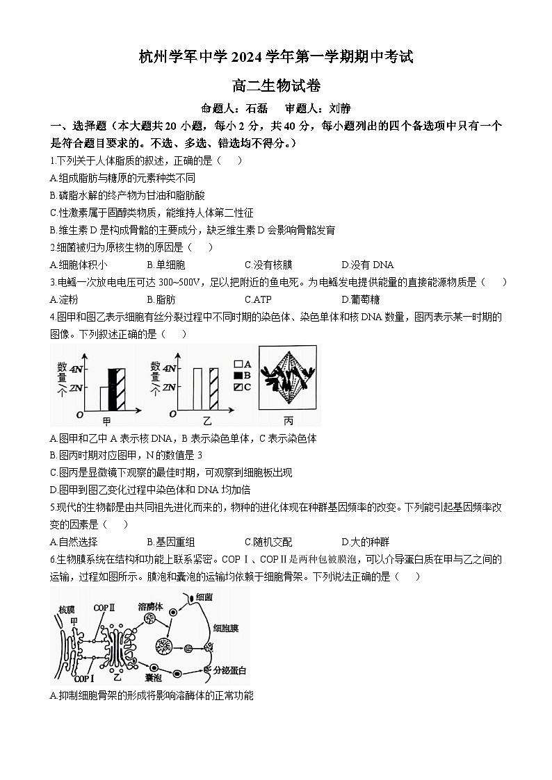浙江省杭州学军中学2024-2025学年高二上学期期中考试生物试卷（Word版附答案）第1页