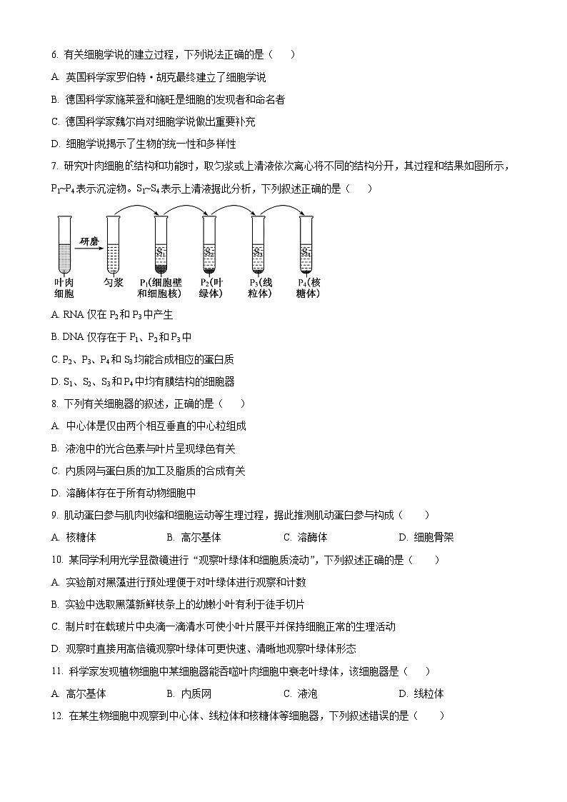 浙江省杭州学军中学2024-2025学年高一上学期期中考试生物试题 Word版无答案第2页