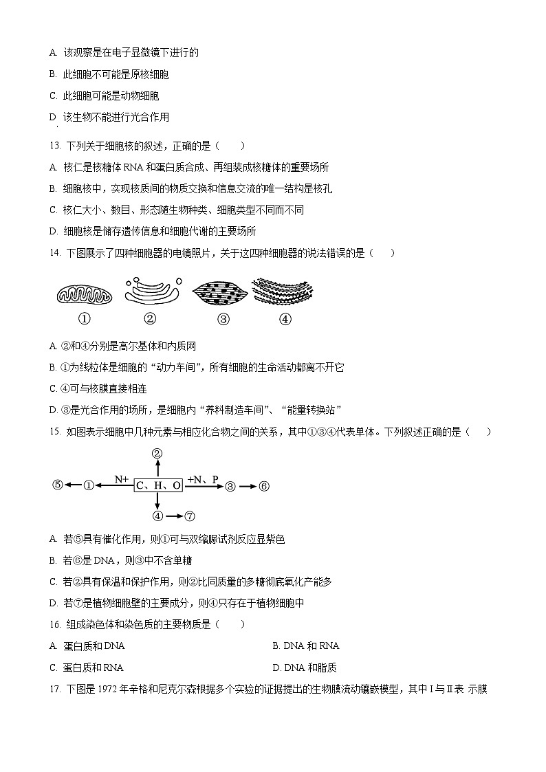浙江省杭州学军中学2024-2025学年高一上学期期中考试生物试题 Word版无答案第3页