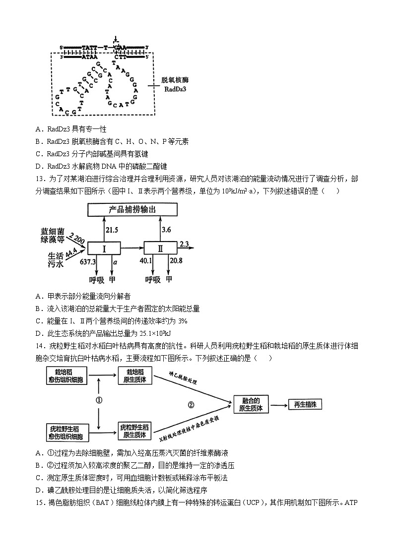 浙江省金华十校2025届高三上学期一模生物试卷（Word版附答案）03