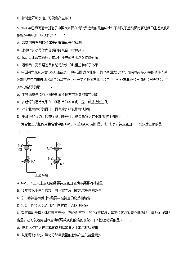 浙江省金砖联盟2024-2025学年高二上学期期中联考生物试卷 Word版无答案第2页