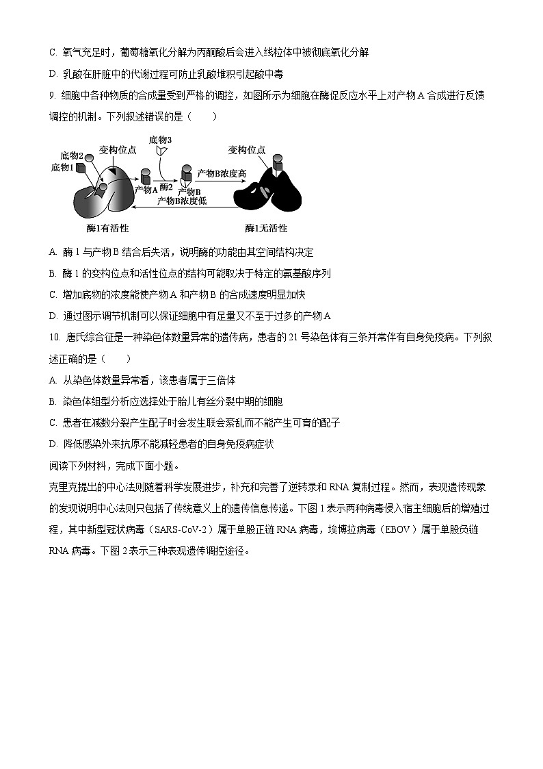 浙江省金砖联盟2024-2025学年高二上学期期中联考生物试卷 Word版无答案第3页