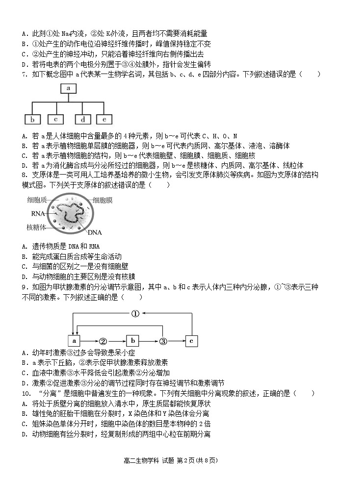 浙江省宁波五校联盟2024-2025学年高二上学期期中联考生物试卷第2页