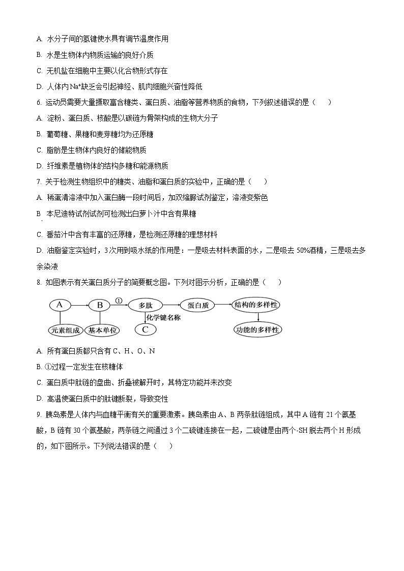 浙江省台州市台州十校联考2024-2025学年高一上学期期中考试生物试题 Word版无答案第2页