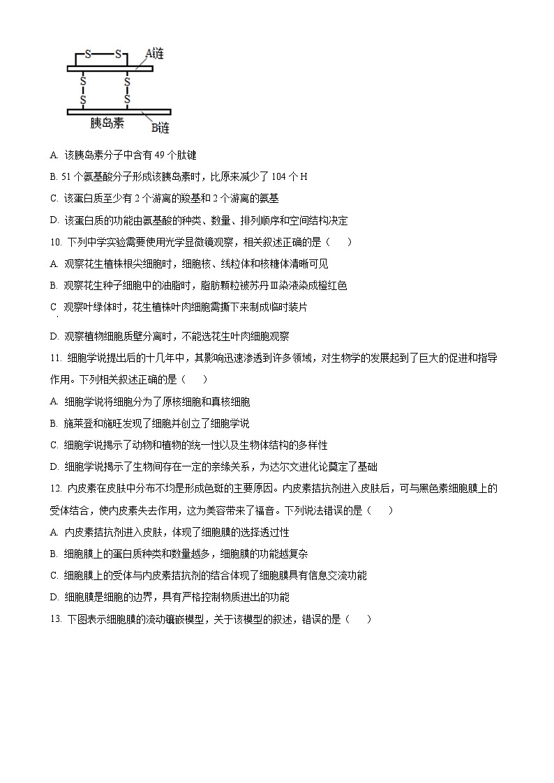 浙江省台州市台州十校联考2024-2025学年高一上学期期中考试生物试题 Word版无答案第3页