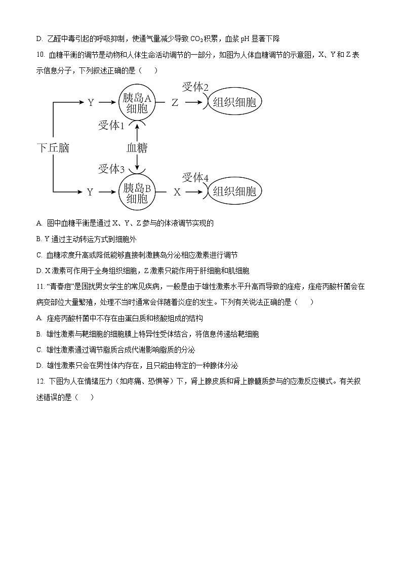 浙江省台州市临海市台州市十校联盟2024-2025学年高二上学期11月期中生物试题 Word版无答案第3页