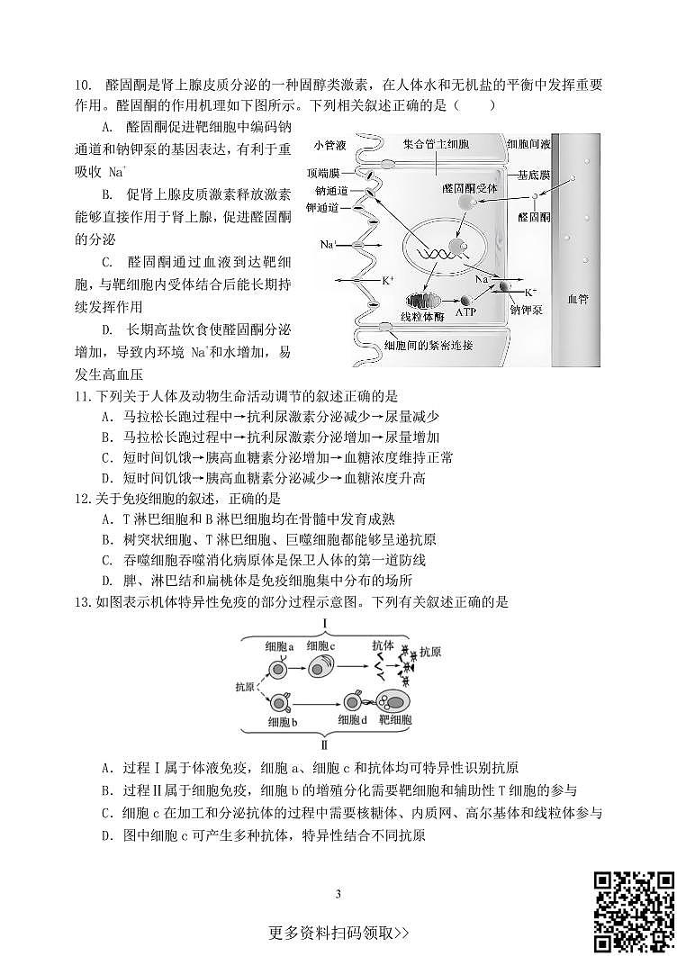 2024北京一七一中高二上学期期中生物试卷第3页