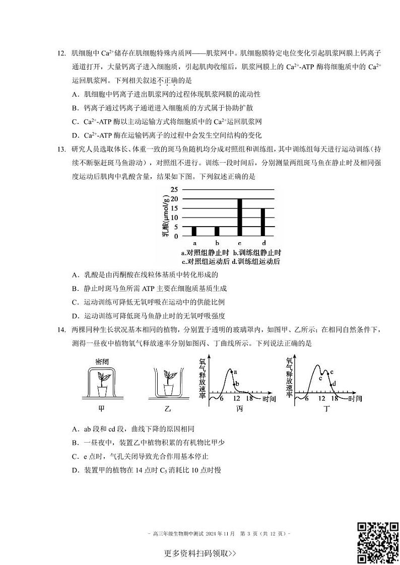 2024北京二中高三上学期期中生物试卷第3页