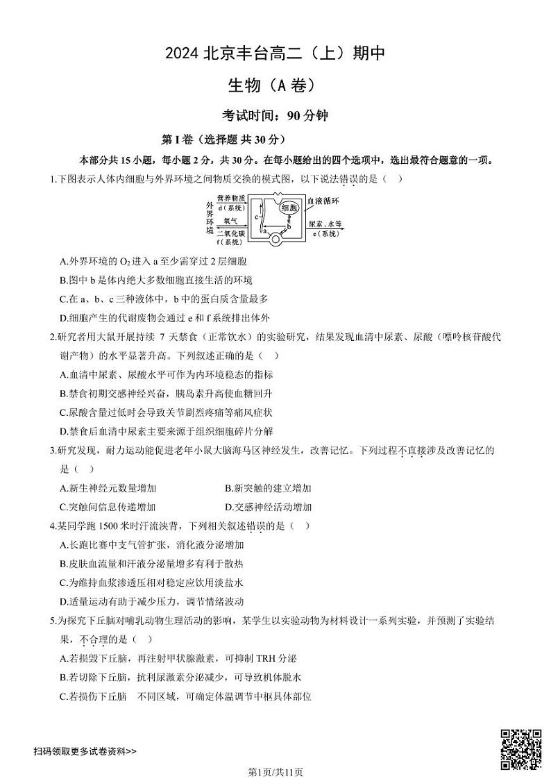 2024北京丰台高二上学期期中生物（A卷）试卷01