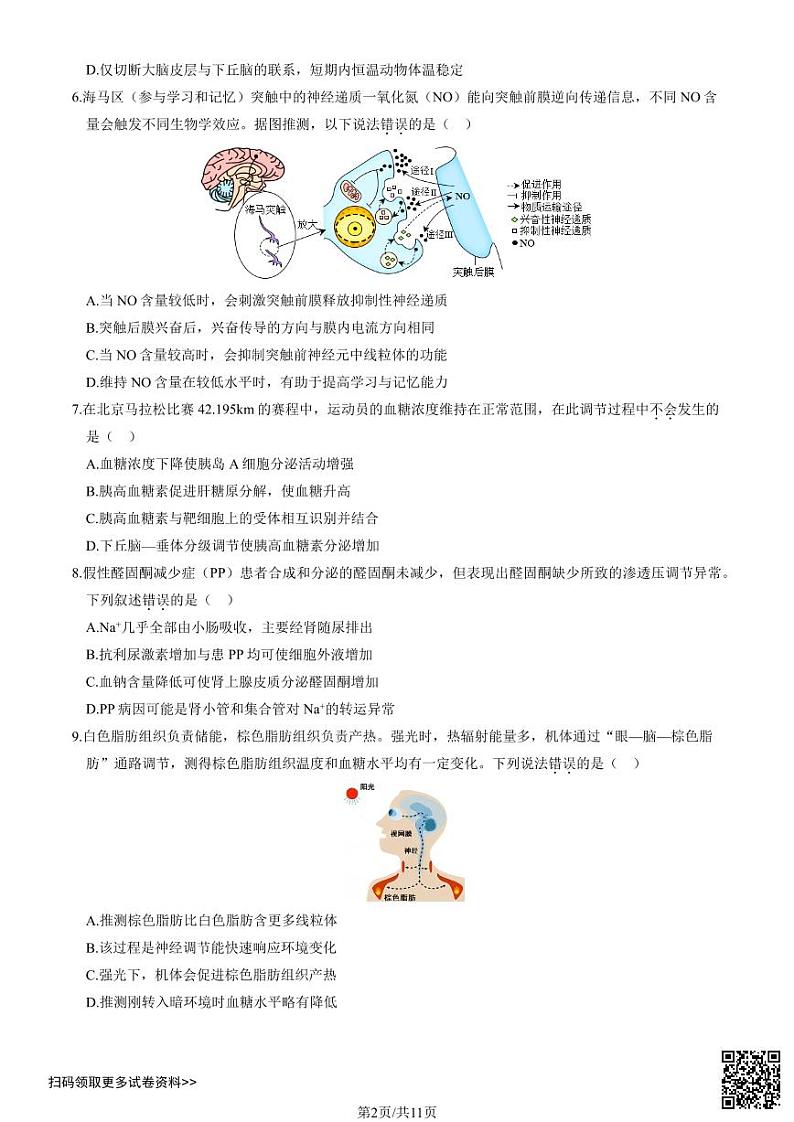 2024北京丰台高二上学期期中生物（A卷）试卷02
