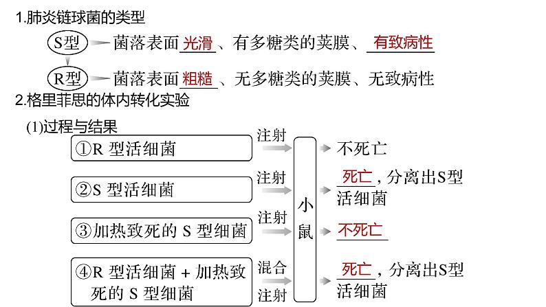 2025届高三生物一轮复习课件第27讲DNA是主要的遗传物质第2页