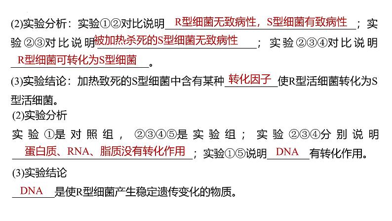 2025届高三生物一轮复习课件第27讲DNA是主要的遗传物质第3页