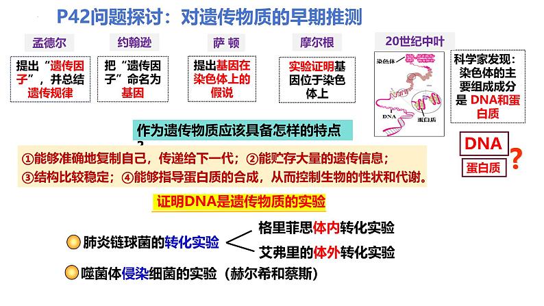 2025届高三生物一轮复习课件第27讲DNA是主要的遗传物质第4页