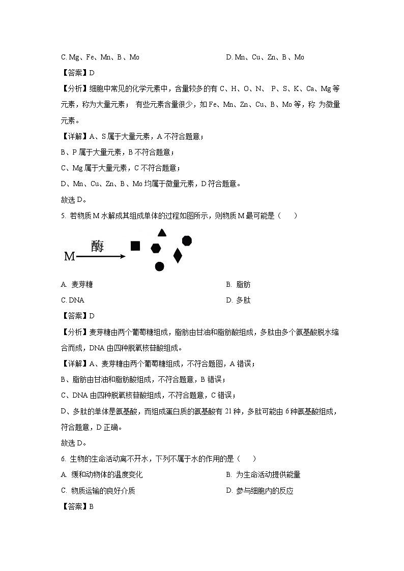 广西部分名校2024-2025学年高一上学期10月联合检测生物试卷（解析版）第3页