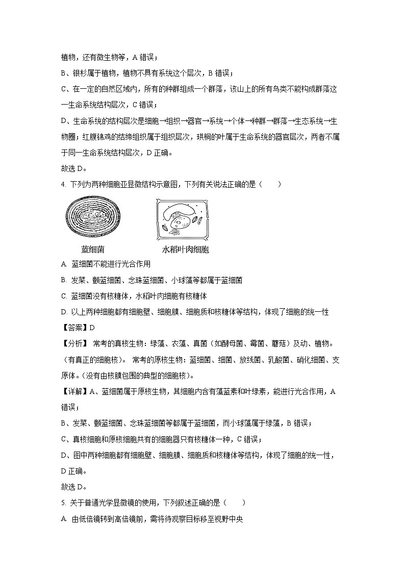 吉林省友好学校第78届期中联考2024-2025学年高一上学期期中考试生物试卷（解析版）第3页
