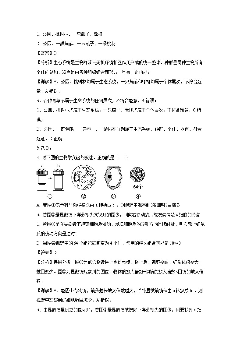 黑龙江省富锦市某校2024-2025学年高一上学期期中考试生物试卷（解析版）02