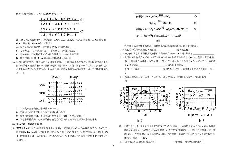 生物-安徽省六安第一中学2025届高三上学期第三次（11月）月考试题和答案第3页