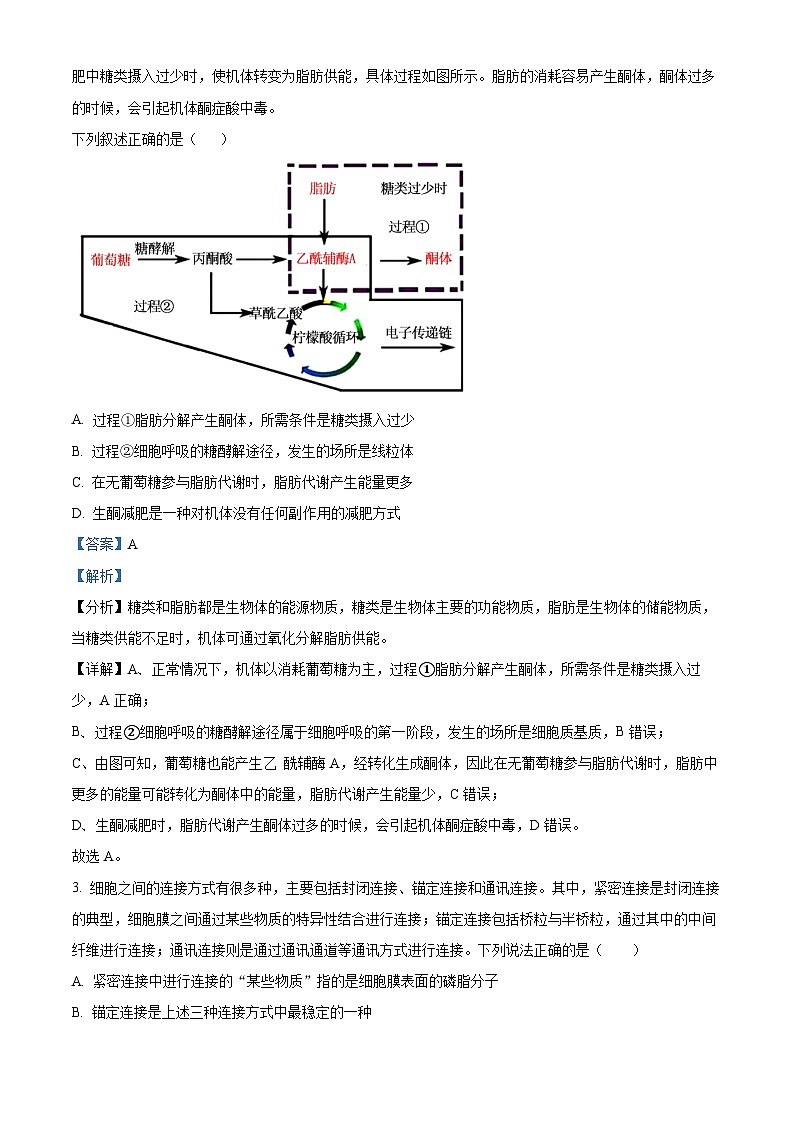 湖南省娄底市名校2024-2025学年高三上学期11月联考生物试卷（Word版附解析）02