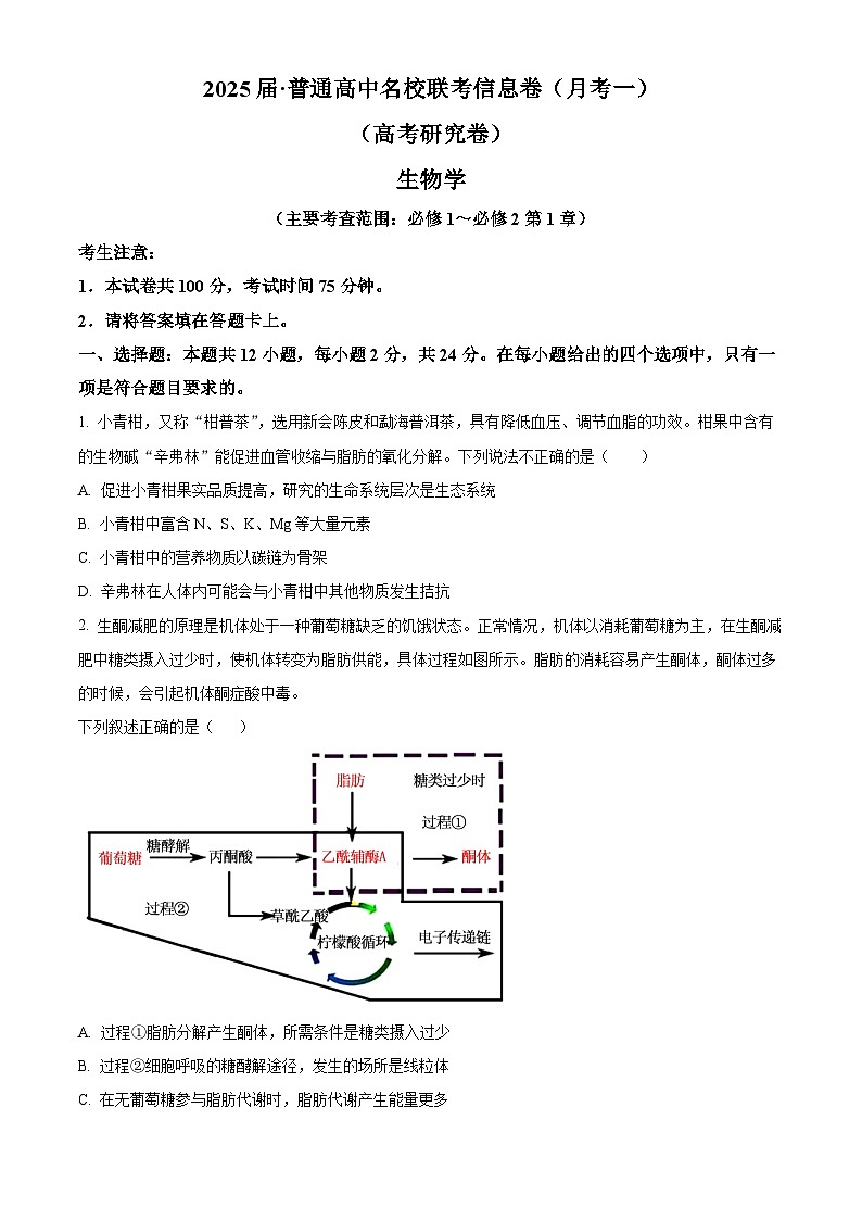 湖南省娄底市名校2024-2025学年高三上学期11月联考生物试卷（Word版附解析）01