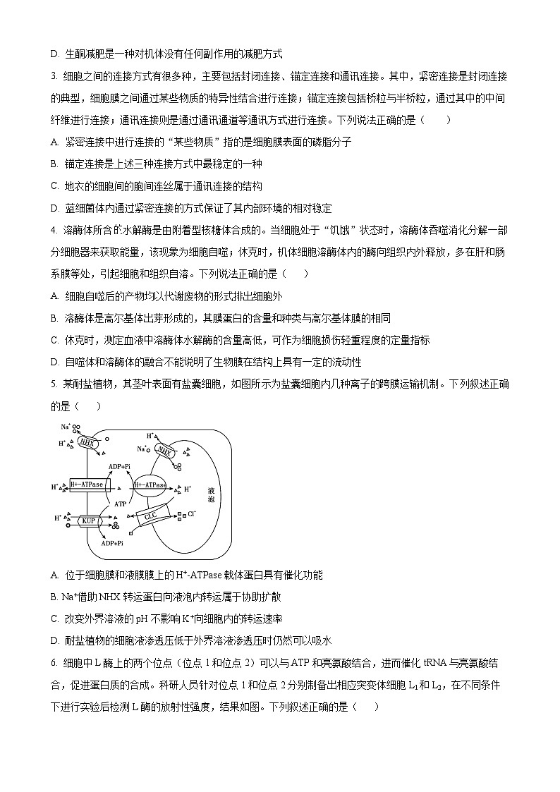 湖南省娄底市名校2024-2025学年高三上学期11月联考生物试卷（Word版附解析）02