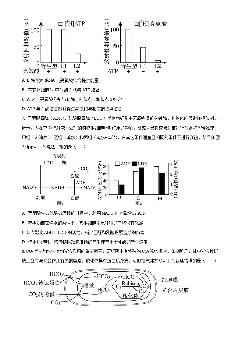 湖南省娄底市名校2024-2025学年高三上学期11月联考生物试卷（Word版附解析）03