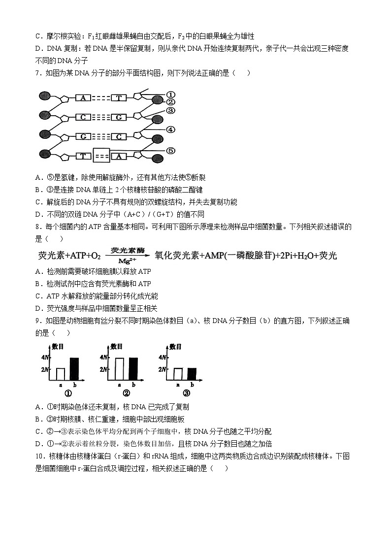 天津市部分区2024-2025学年高三上学期期中考试生物试卷（Word版附答案）第2页