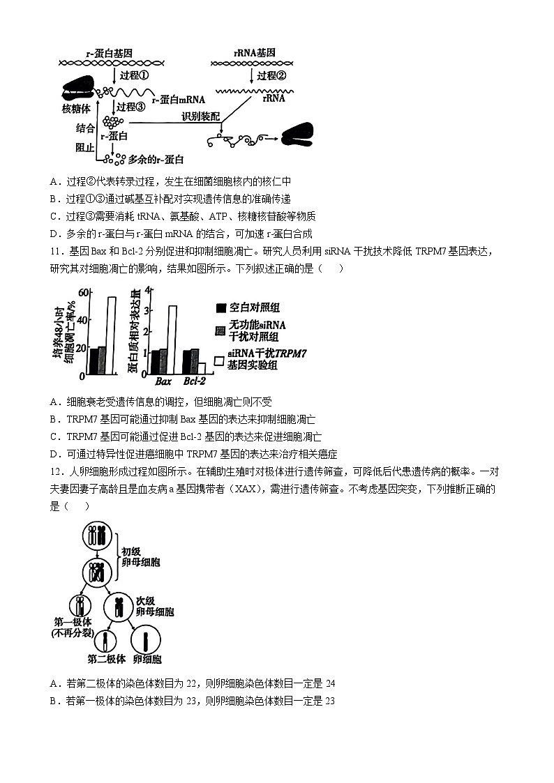 天津市部分区2024-2025学年高三上学期期中考试生物试卷（Word版附答案）第3页