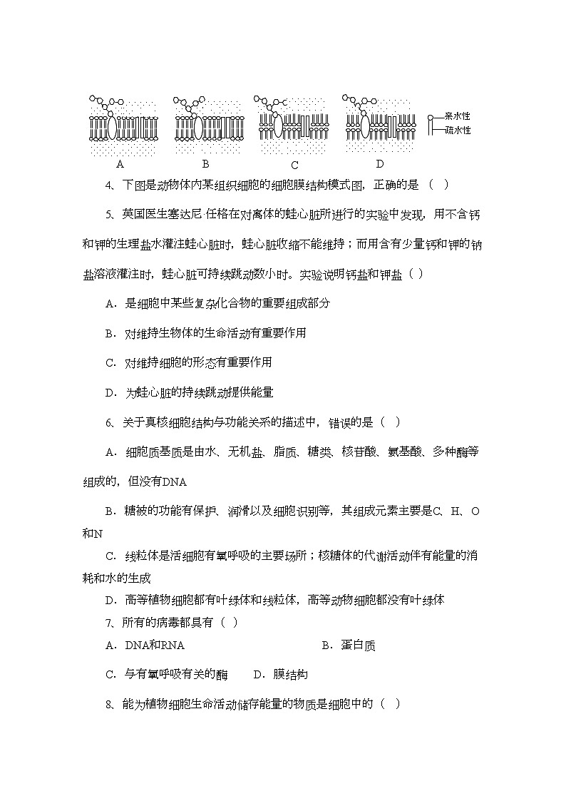 2022年湖北省黄冈高一生物上学期期中考试会员独享第2页