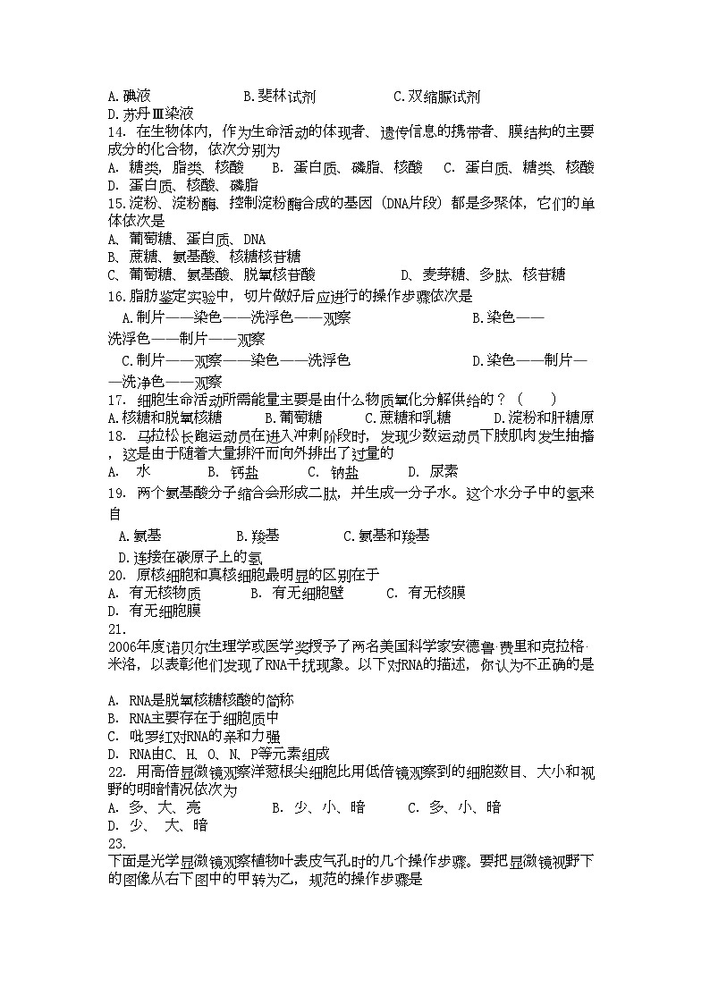 2022年辽宁省大连市五校协作体高一生物上学期期中考试第2页