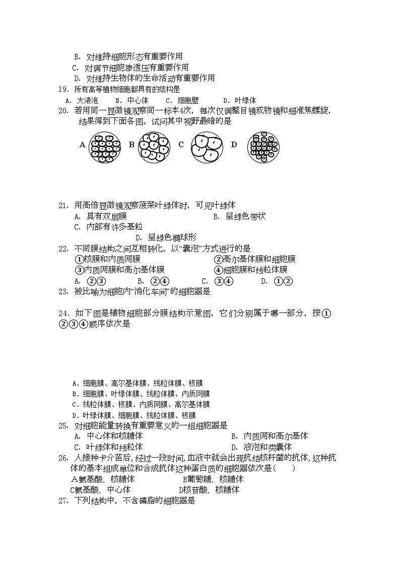 2022年山东省苍山县11高一生物上学期期中考试第3页